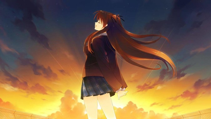 侵权公告六